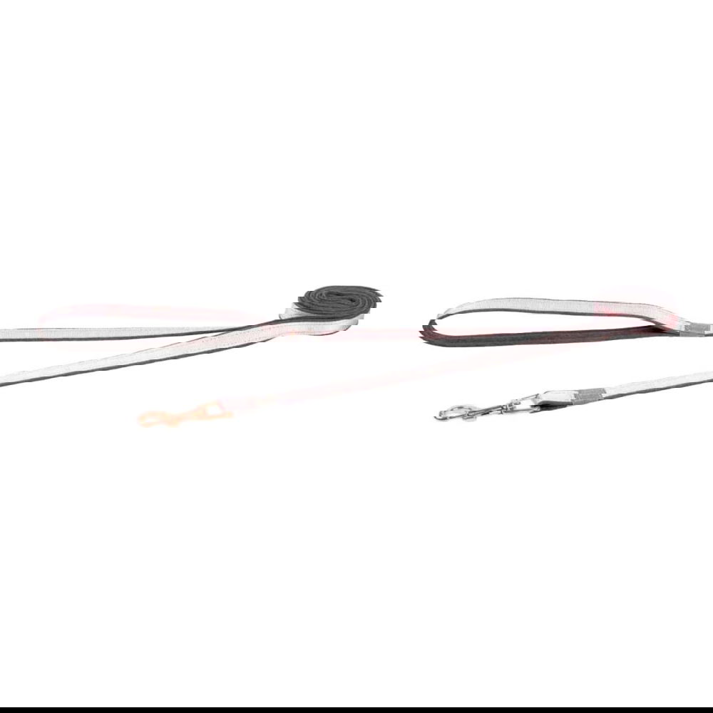 Rogz Urban Hundkoppel 180cm (Ljusrosa)