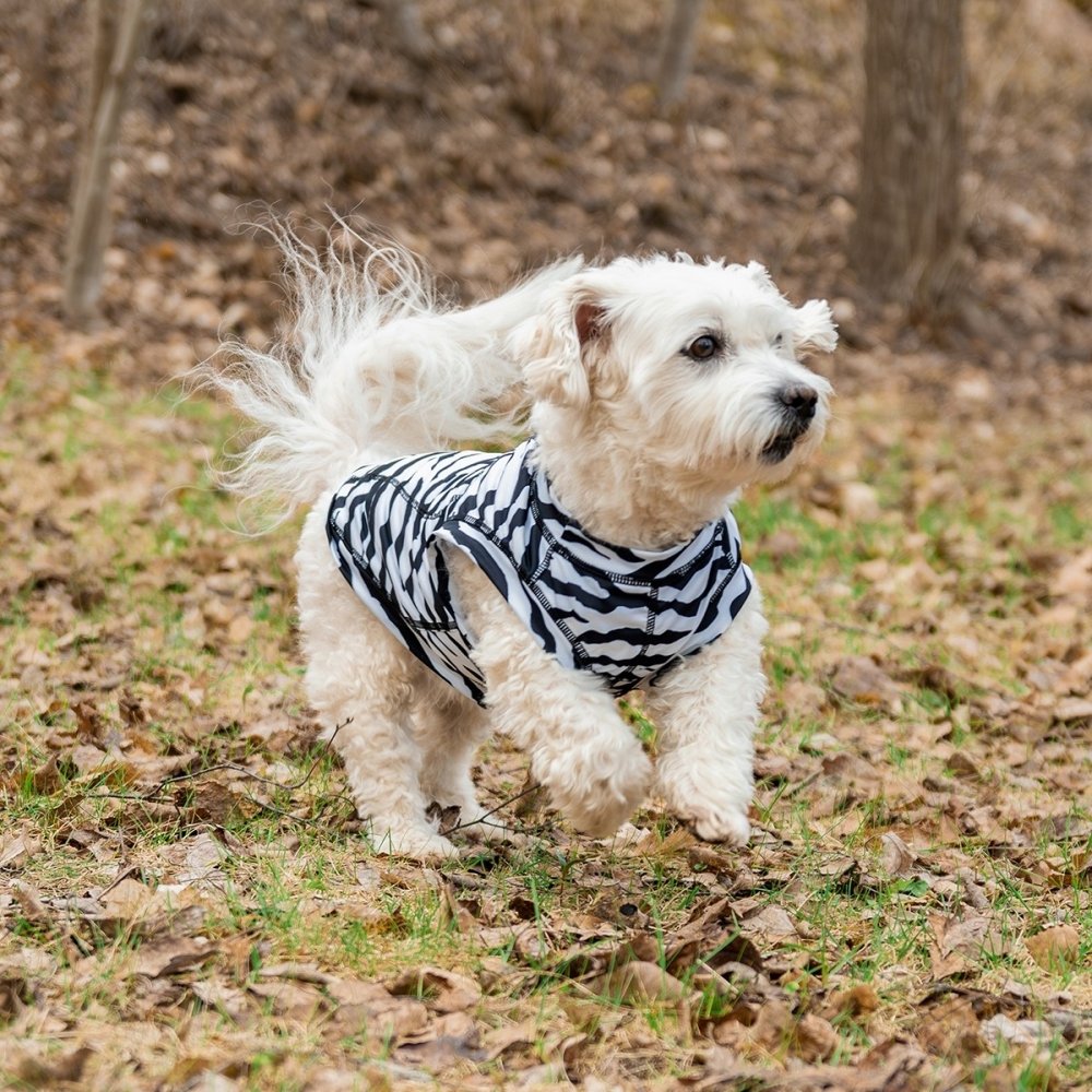 Rukka Zebra Fästingskydd Hundtröja (M)