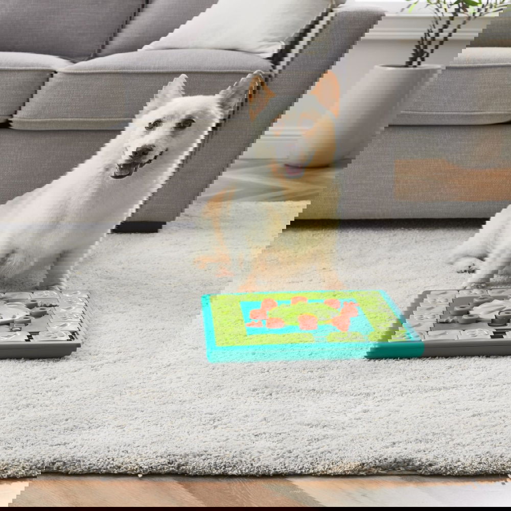 Produktfoto för Nina Ottosson Dog Multi Puzzle Grön