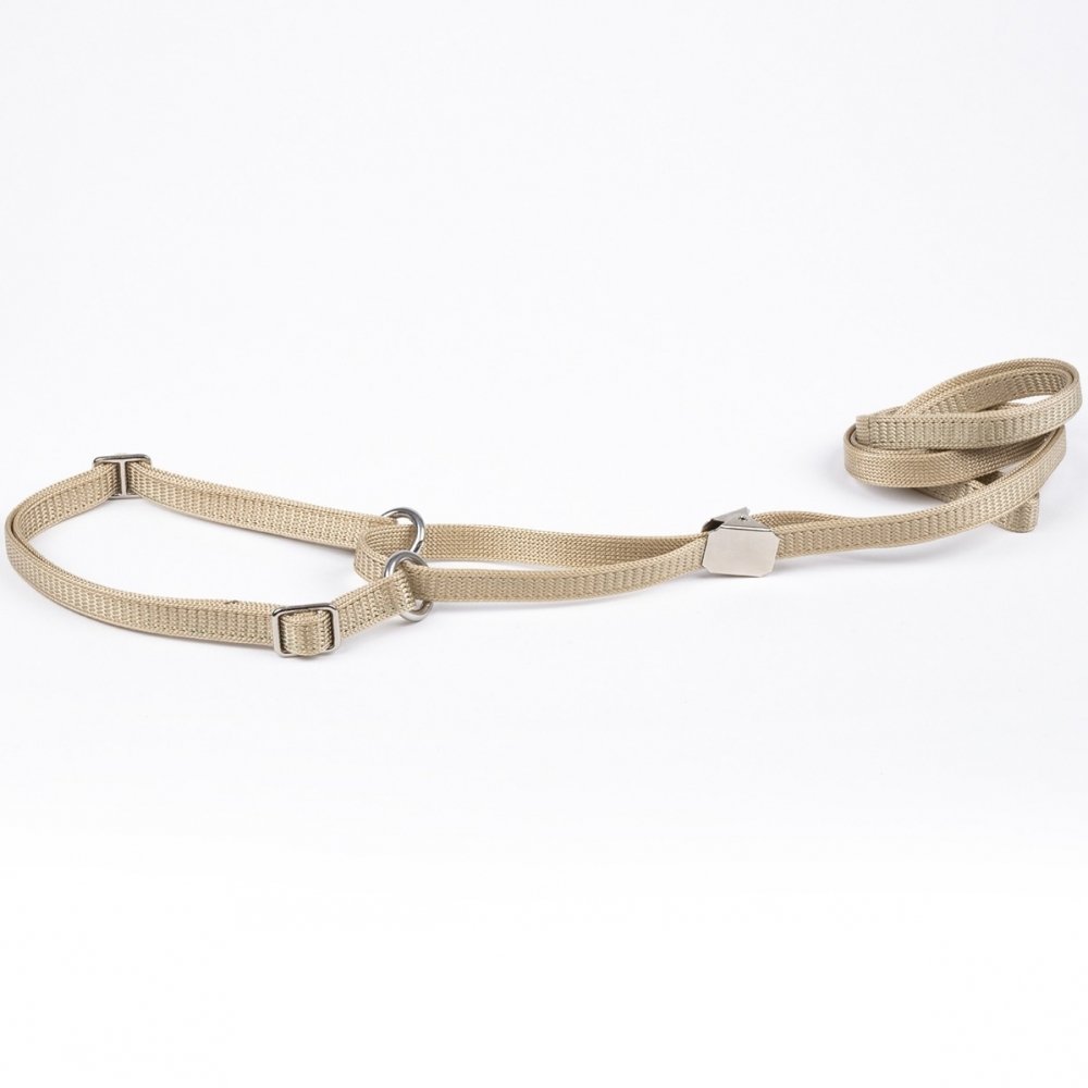 Show Dog Utställningskoppel med Halsband Halvstryp Beige (10 mm x 110 cm)