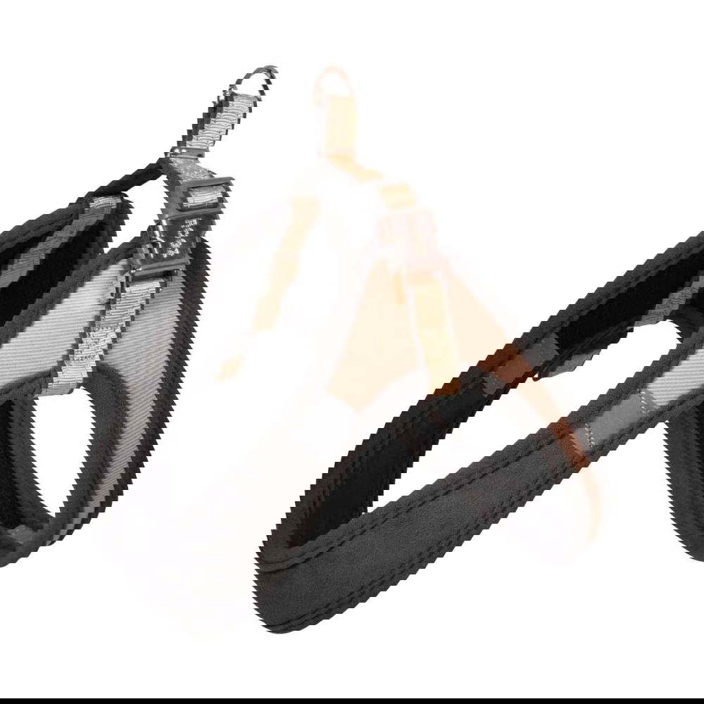 Rogz Urban Fast-Fit Hundsele Guld (S)