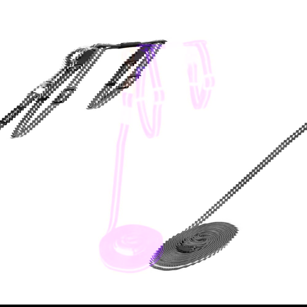 Rogz AlleyCat Reflekterande Kattsele med Koppel (Violet)