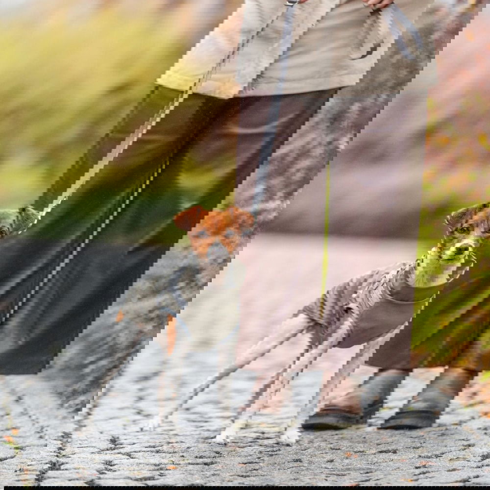 Trixie Pontis Regnjacka med Sele Grön (27 cm)