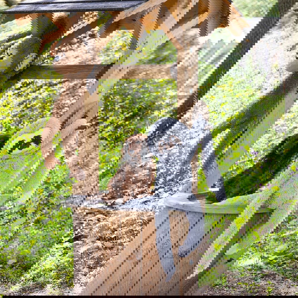 Beeztees Jungle Mjukisdjur till Hund Sengångare (XL)