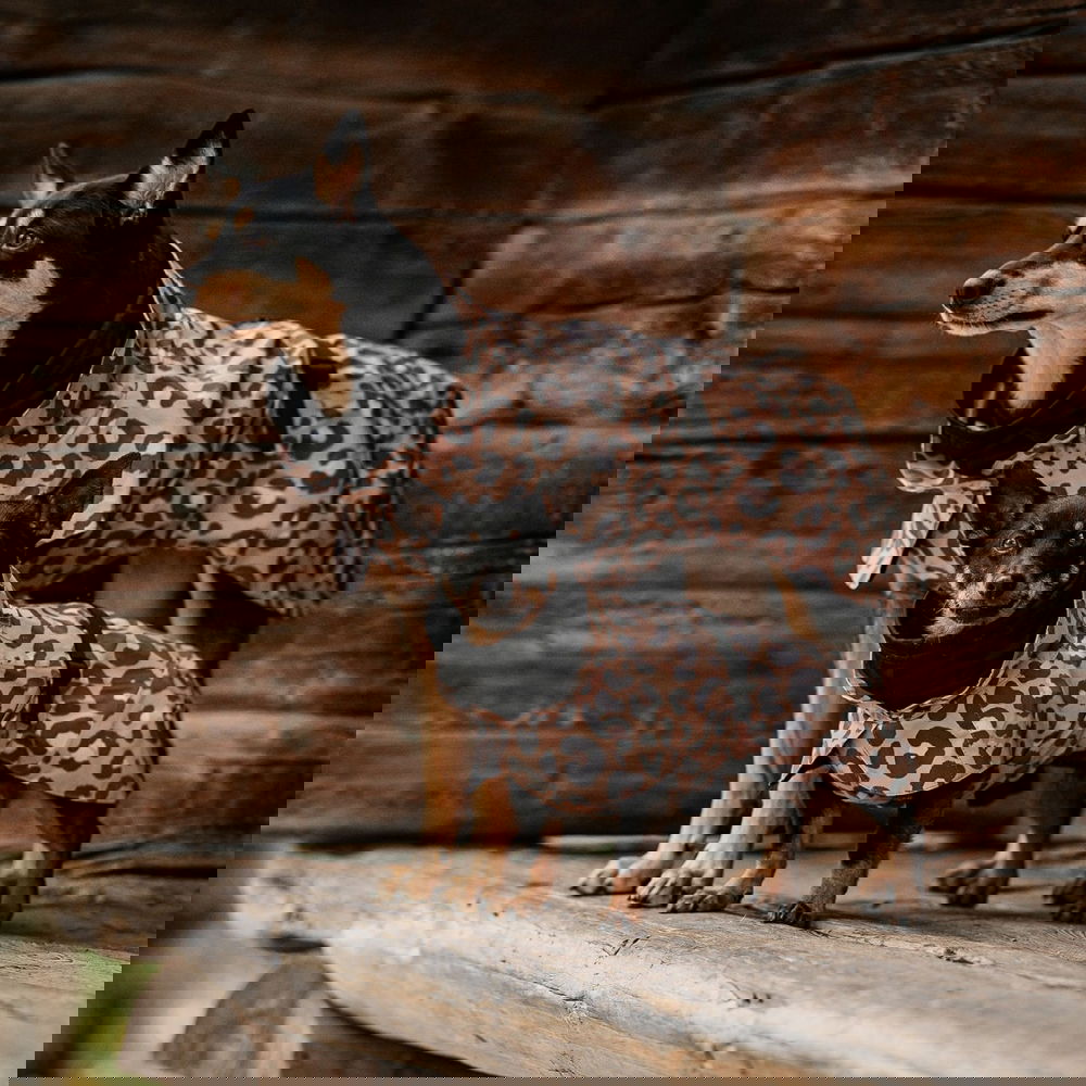 PAIKKA Visibility Lite Regnjacka Leopard Brun (25 cm)