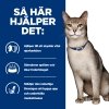 Hills Prescription Diet Feline k/d Kidney Care Salmon 12x85 g
