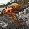 Ruffwear Confluence Hundflytväst Orange