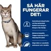 Hills Prescription Diet Feline k/d Kidney Care Salmon 12x85 g