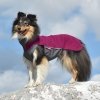 Pomppa Jumppa Fleecetäcke Hund Lila