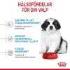 Royal Canin Dog Giant Puppy
