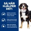 Hills Prescription Diet Canine j/d Metabolic + Mobility Weight Chicken