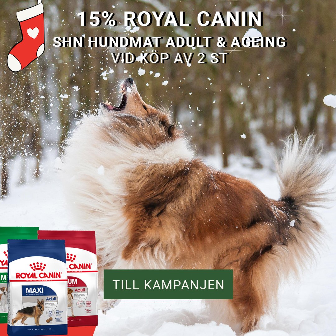 Kampanj Royal Canin SHN