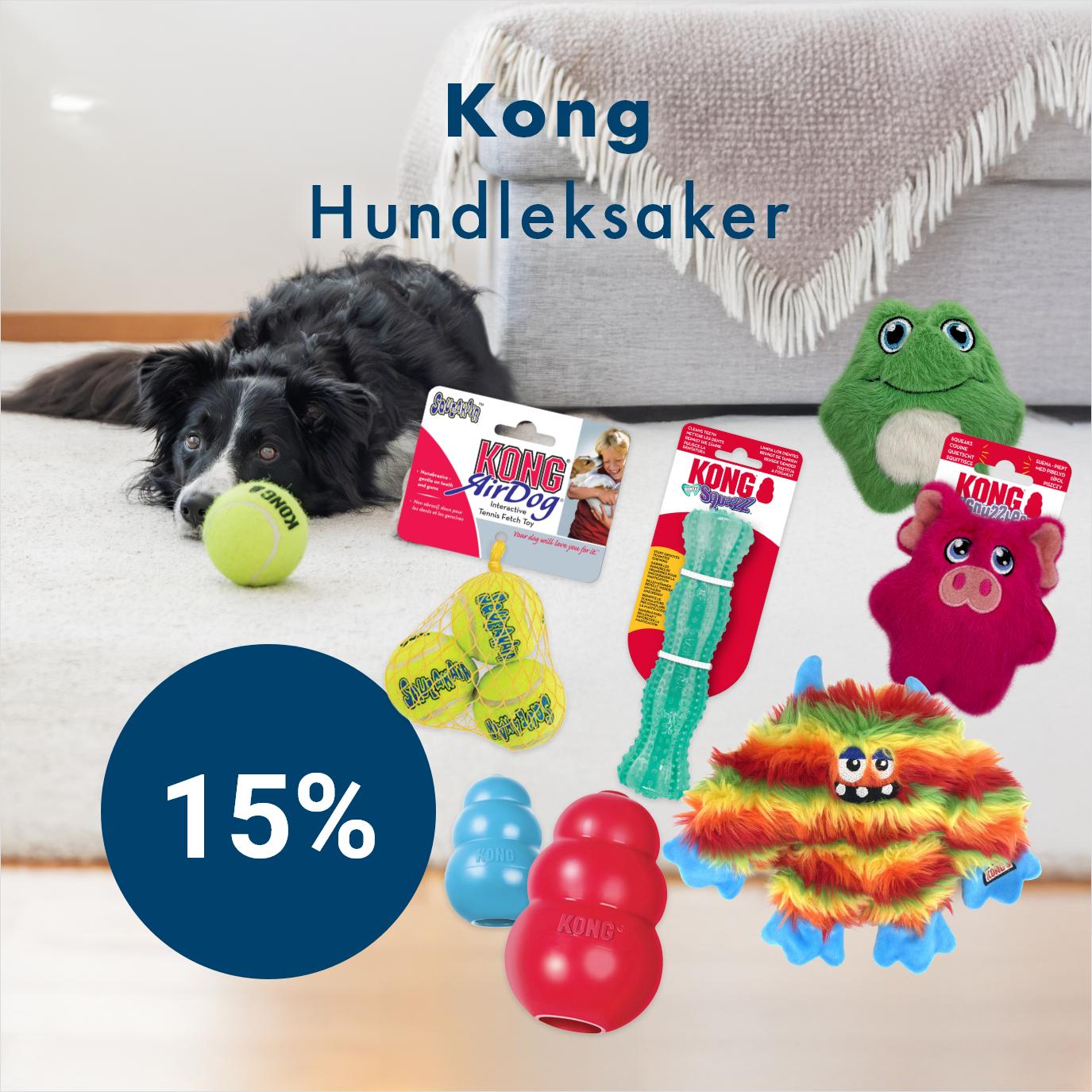 Kampanj på Kong Hundleksaker