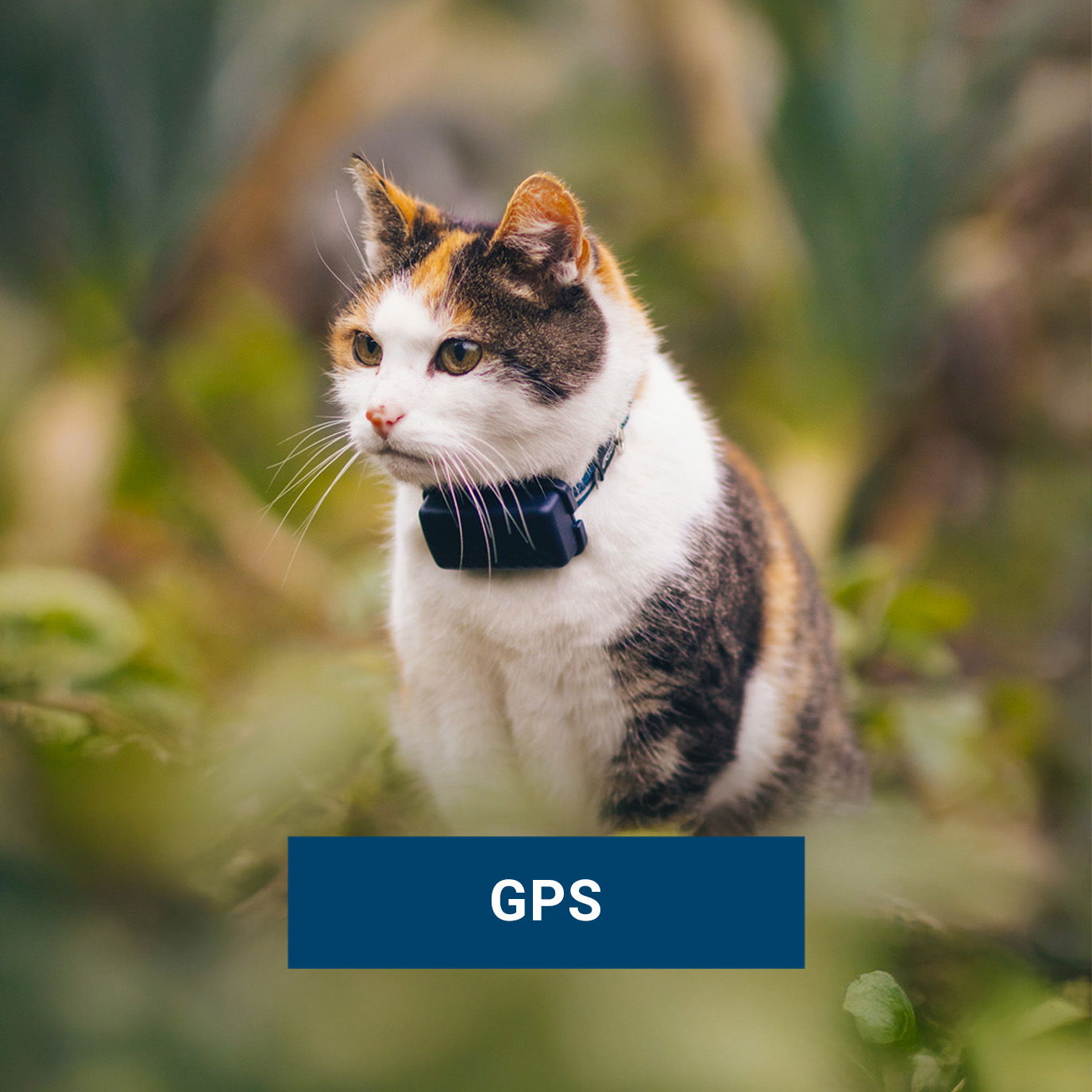 GPS
