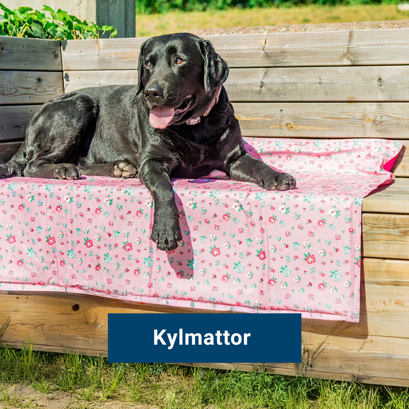 Kylmattor