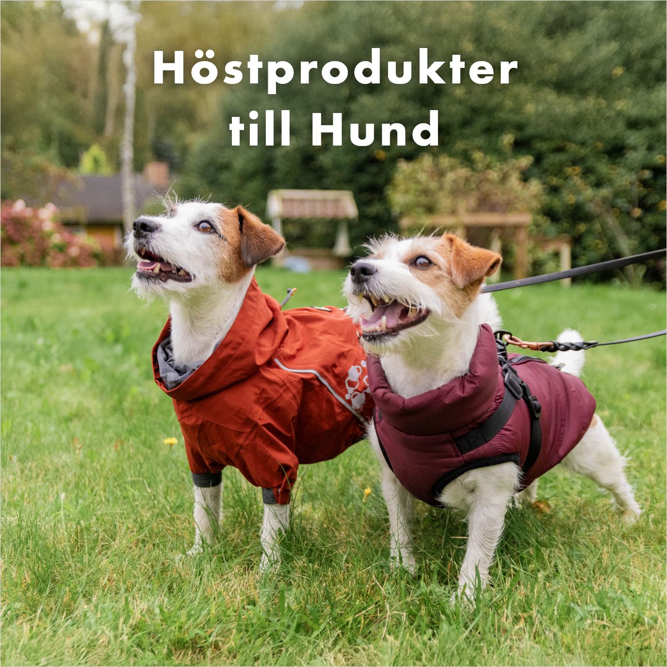 Höstprodukter