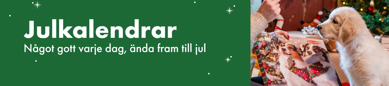 Julkalendrar