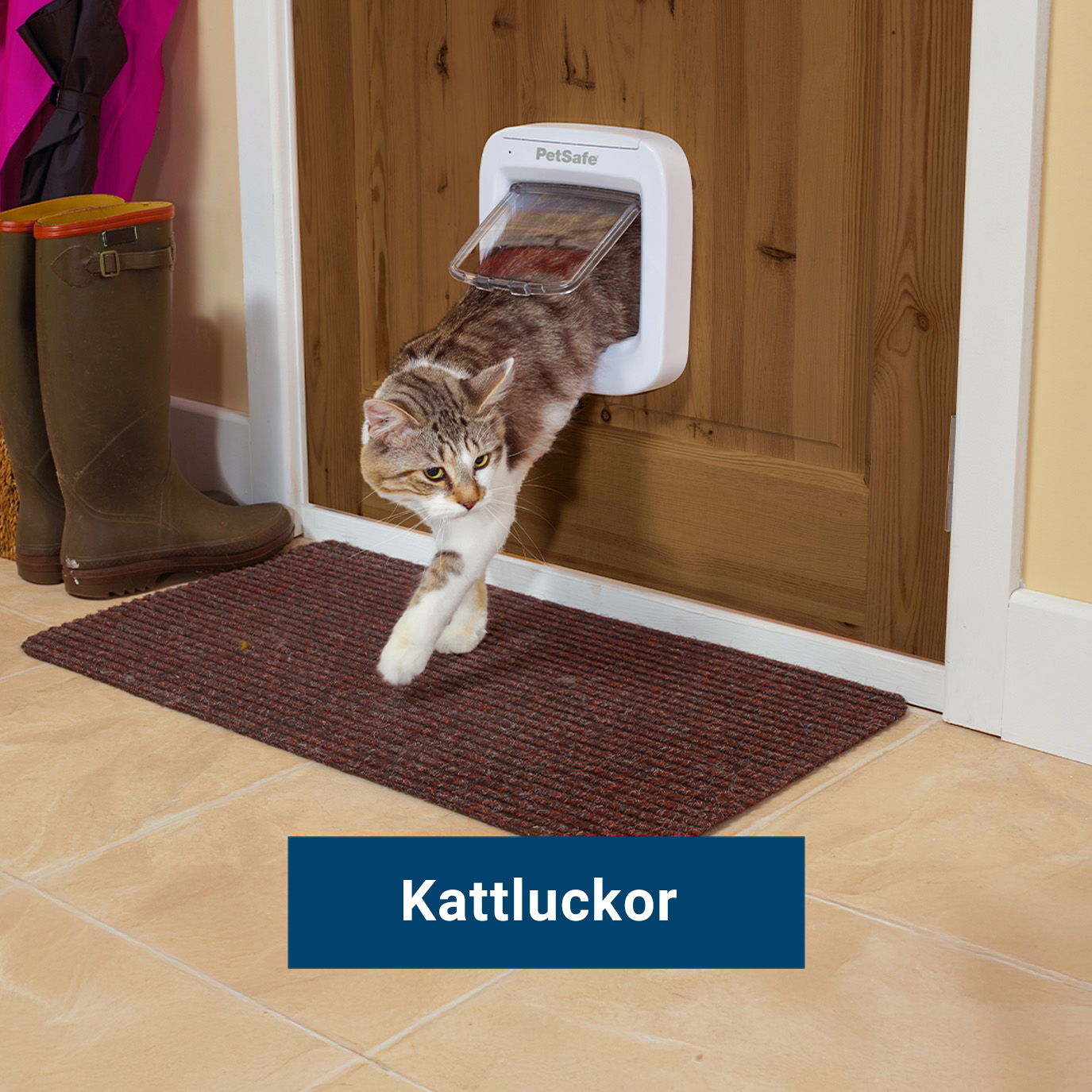 Kattluckor