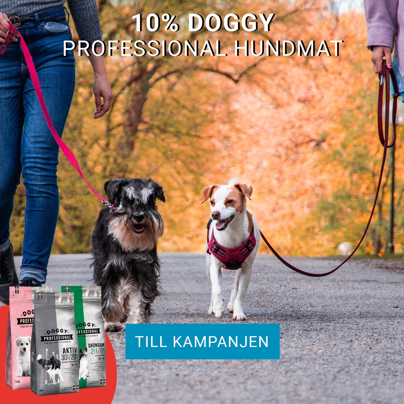 Kampanj Doggy
