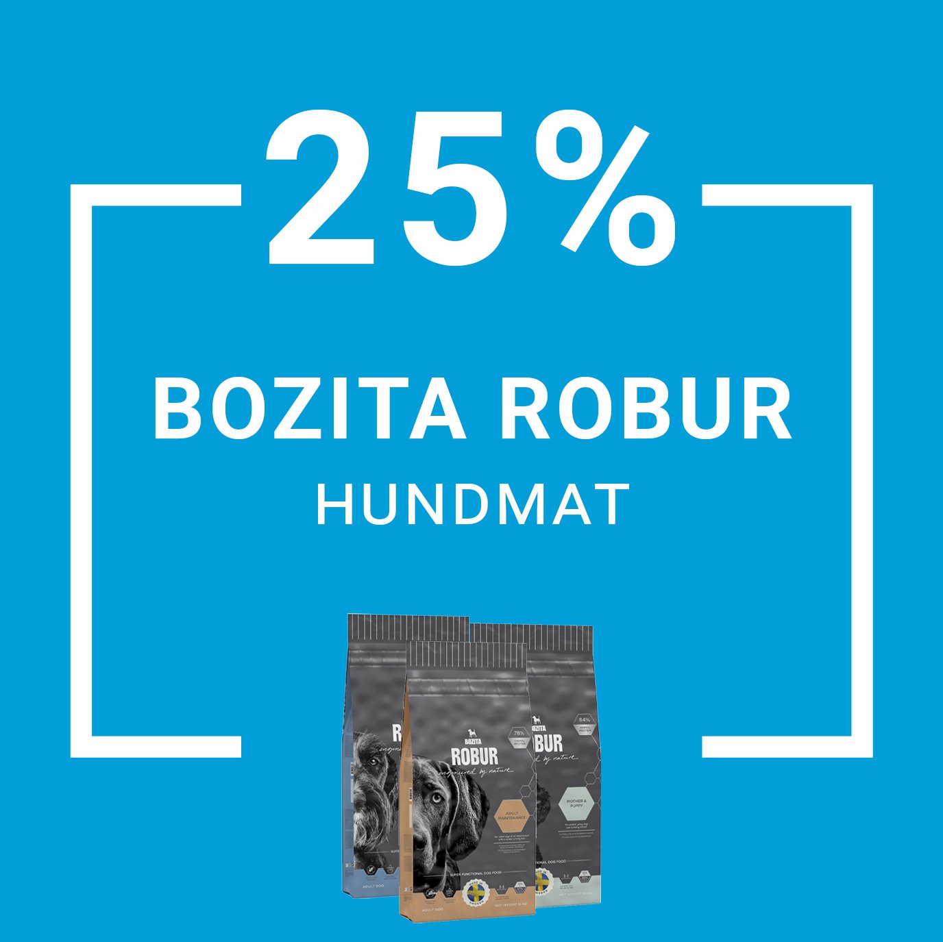 Kampanj Bozita Robur