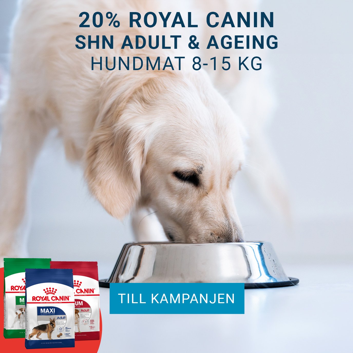 Kampanj Royal Canin