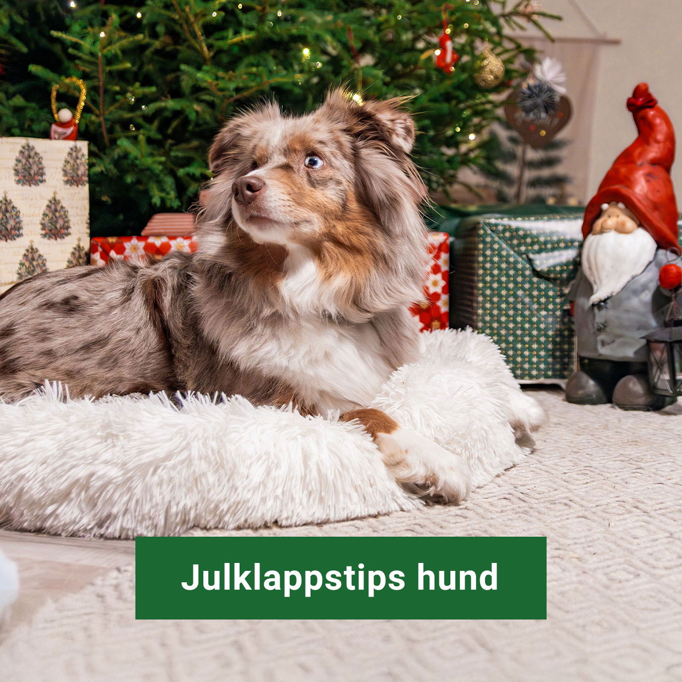 Julklappstips