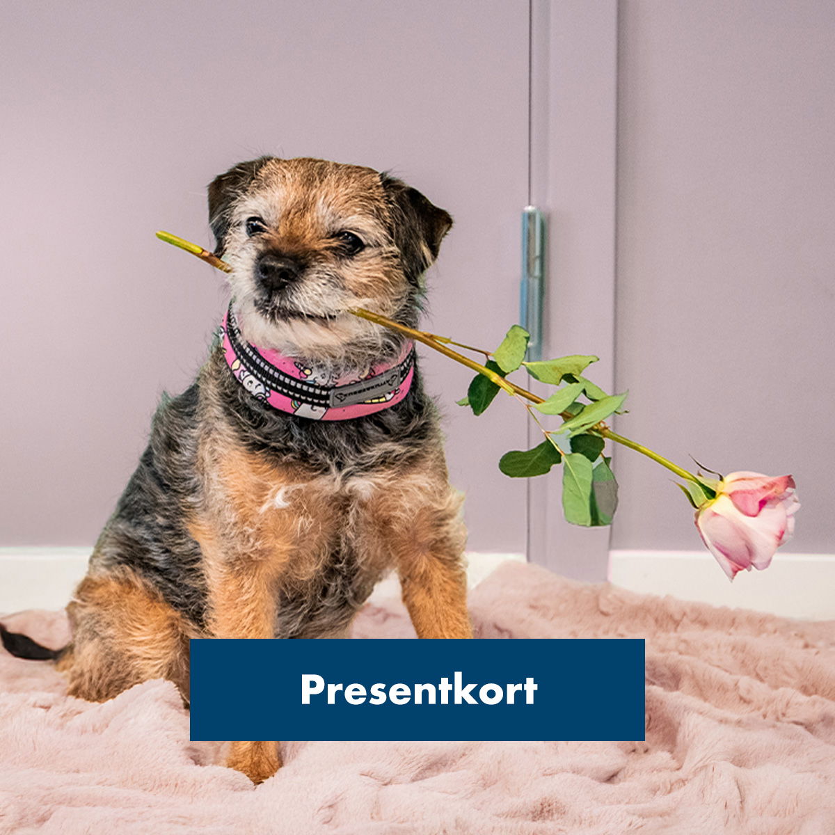 Presentkort