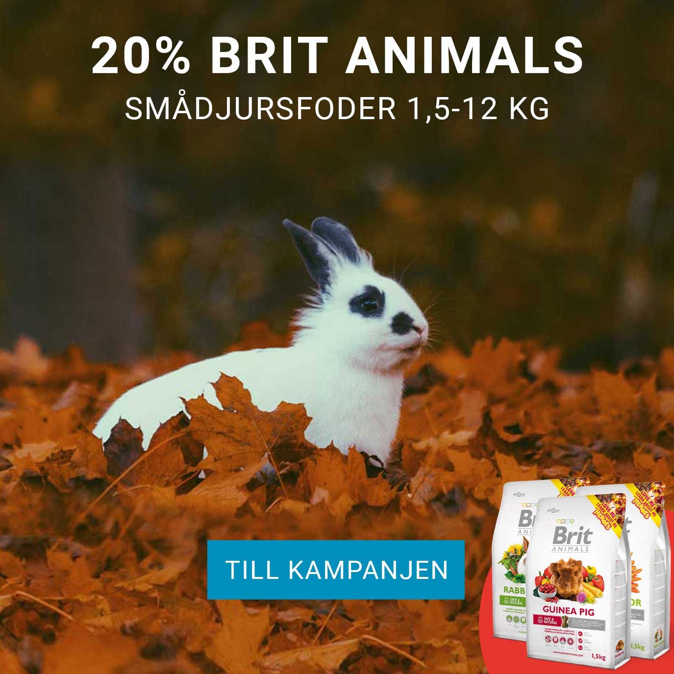 Kampanj 20% Brit Animals Smådjur
