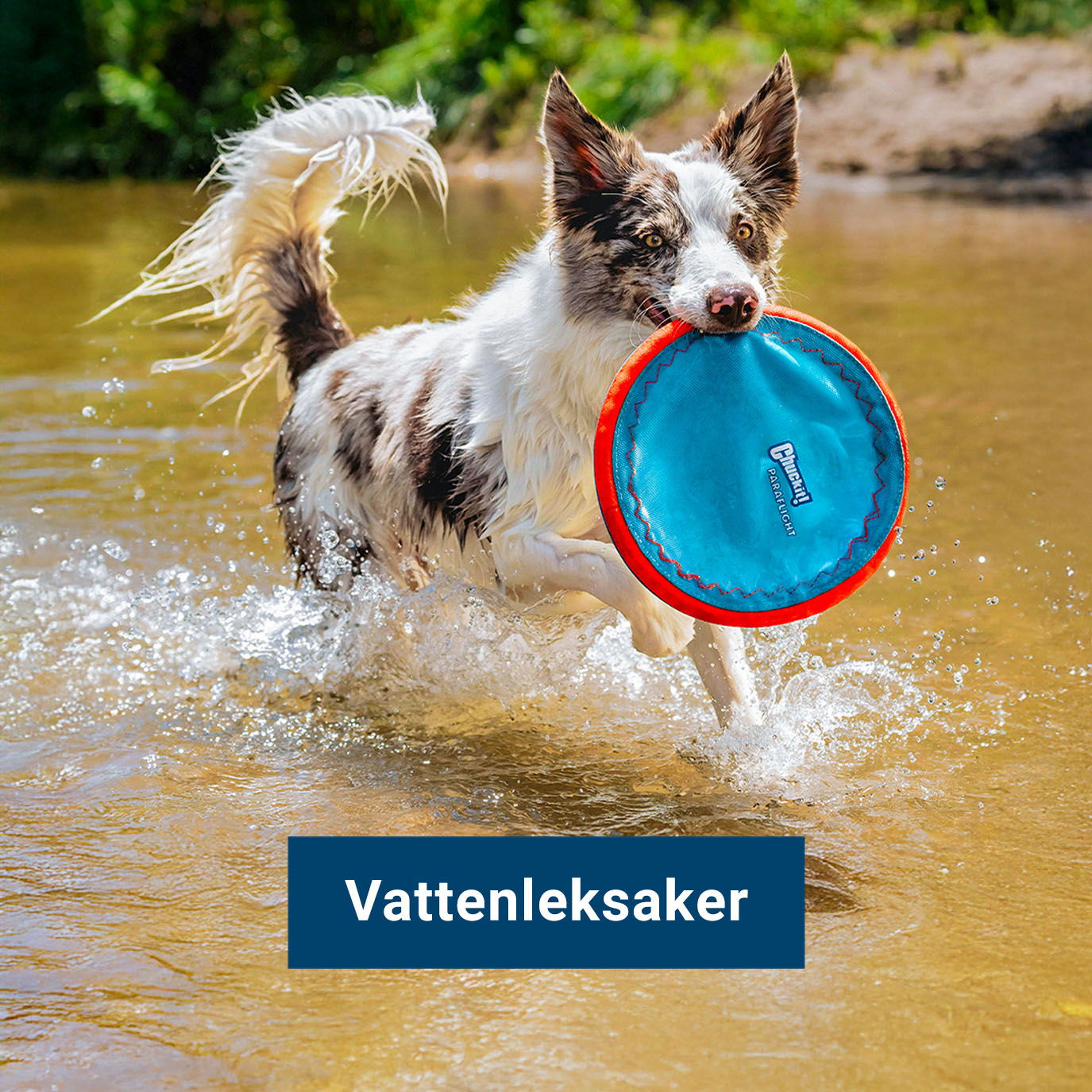 Vattenleksaker
