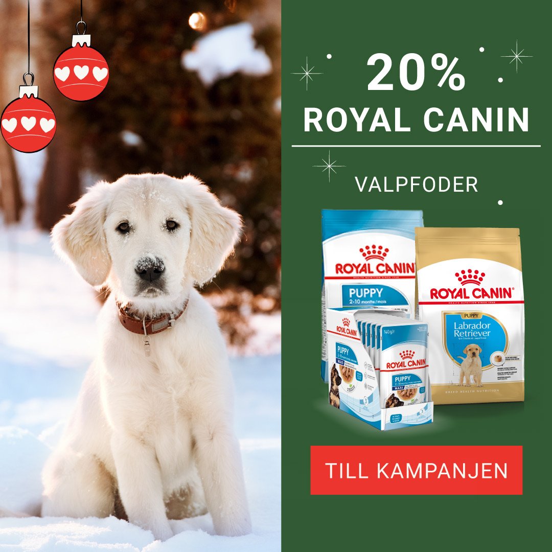 Kampanj Royal Canin Valp