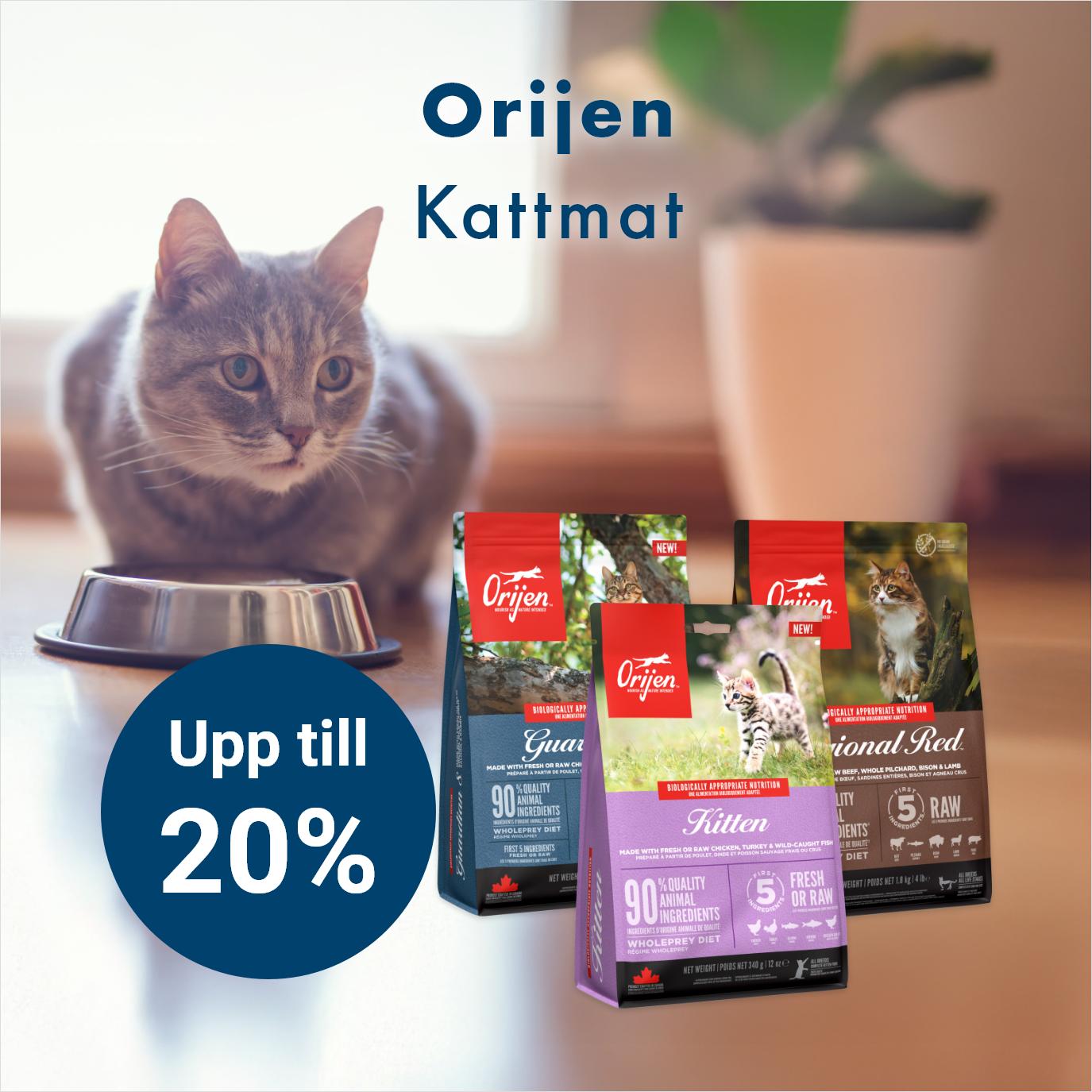 Kampanj Orijen
