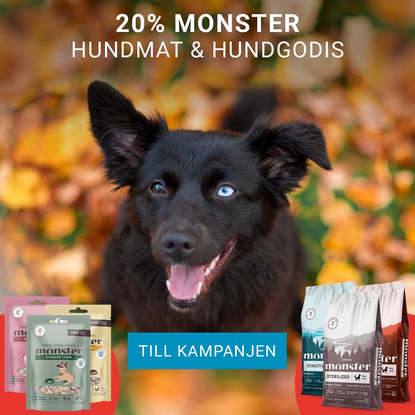Kampanj 20% Monster hundgodis & hundmat