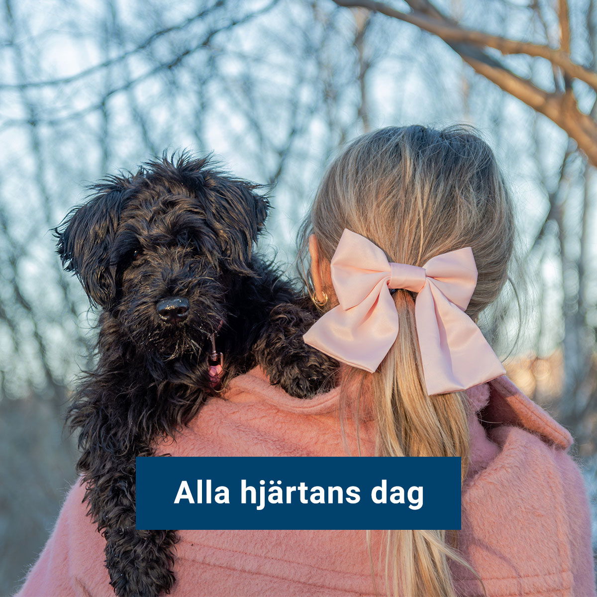 Alla hjärtans dag VetZoo