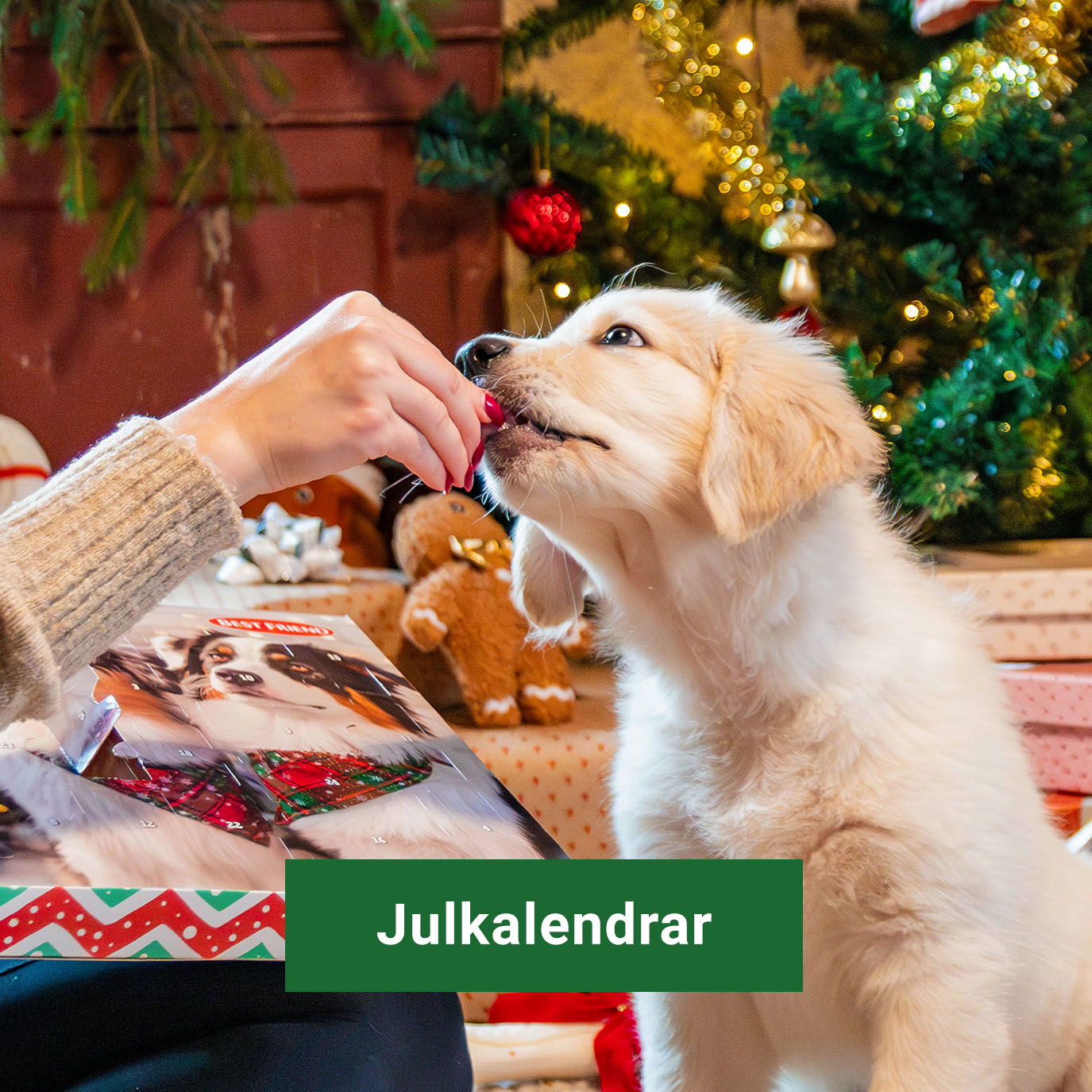 Julkalendrar