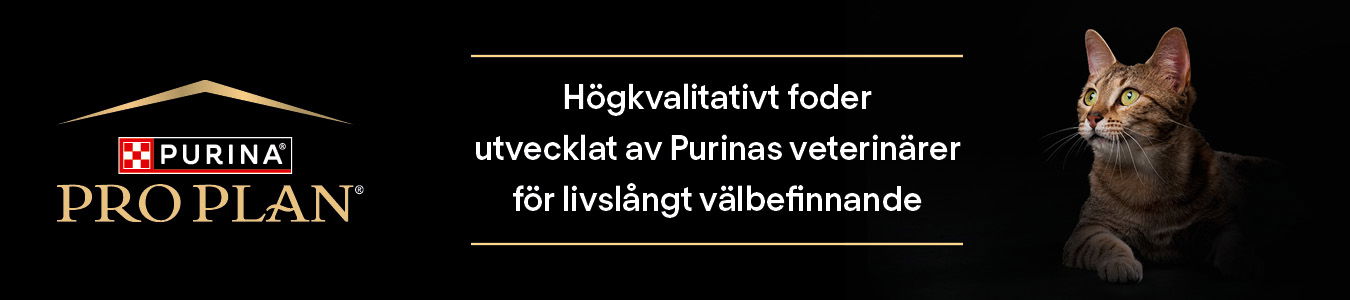 Purina Pro Plan Katt