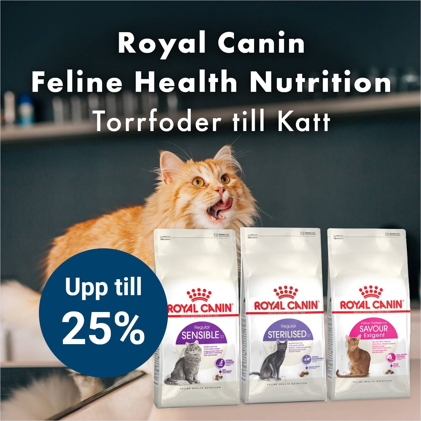 Kampanj Royal Canin