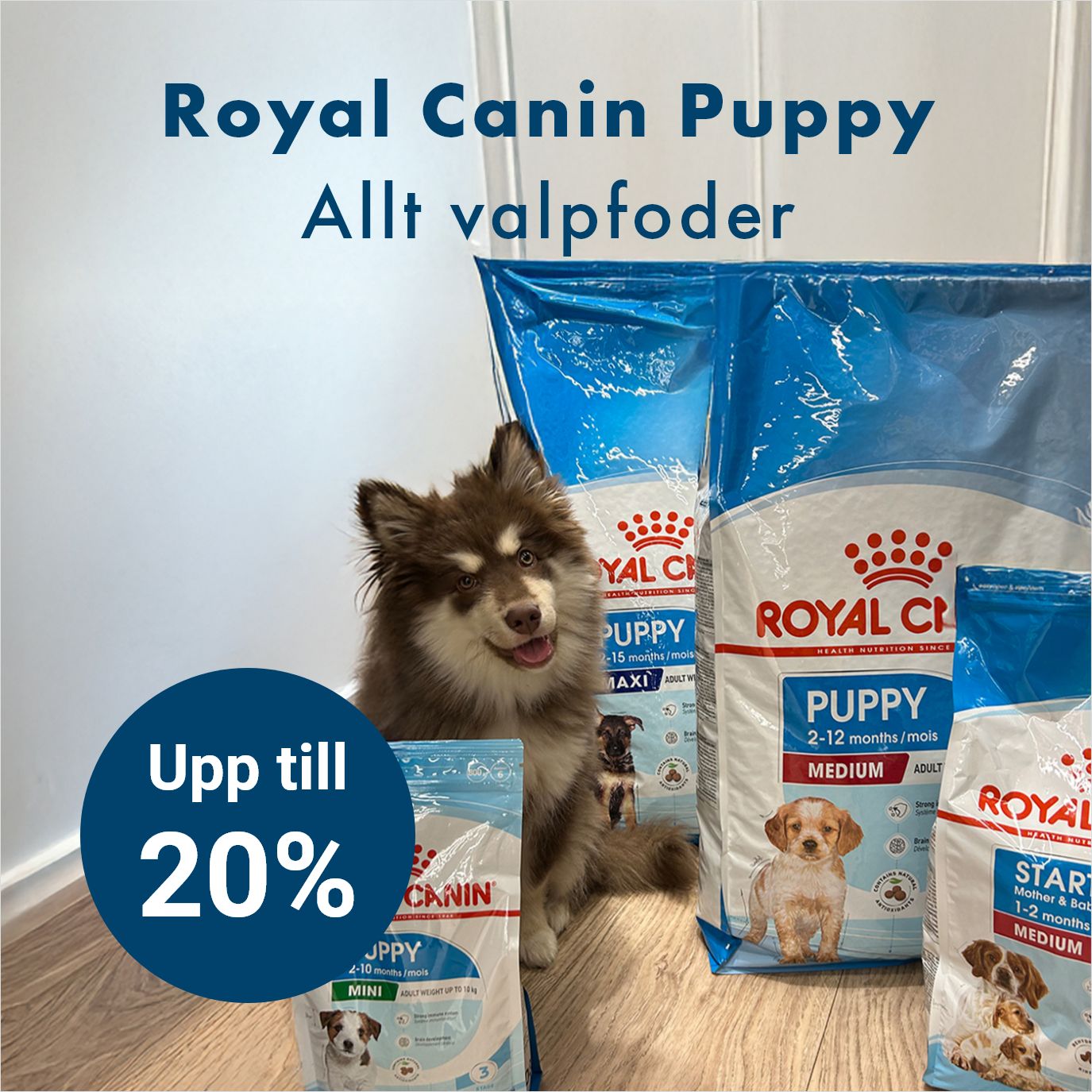 Kampanj Royal Canin