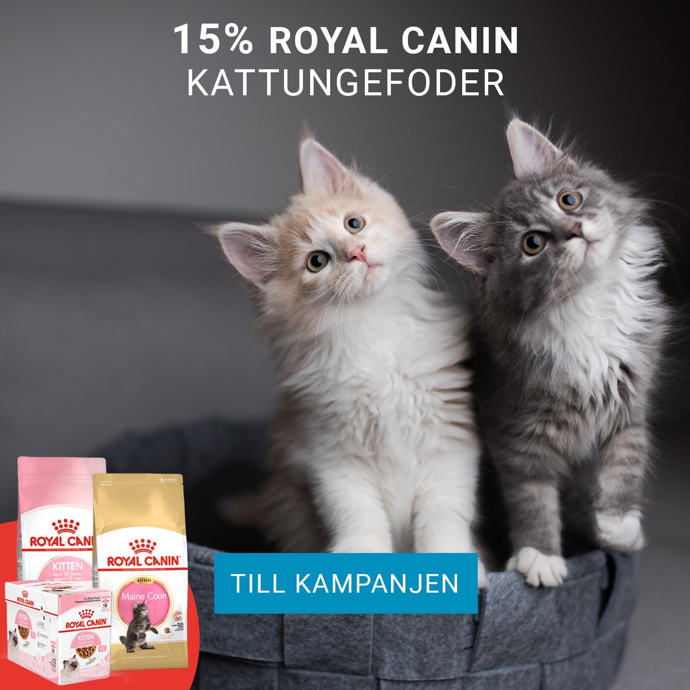 Kampanj Royal Canin kattunge