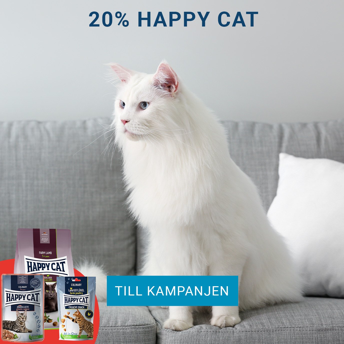 Kampanj Happy Cat