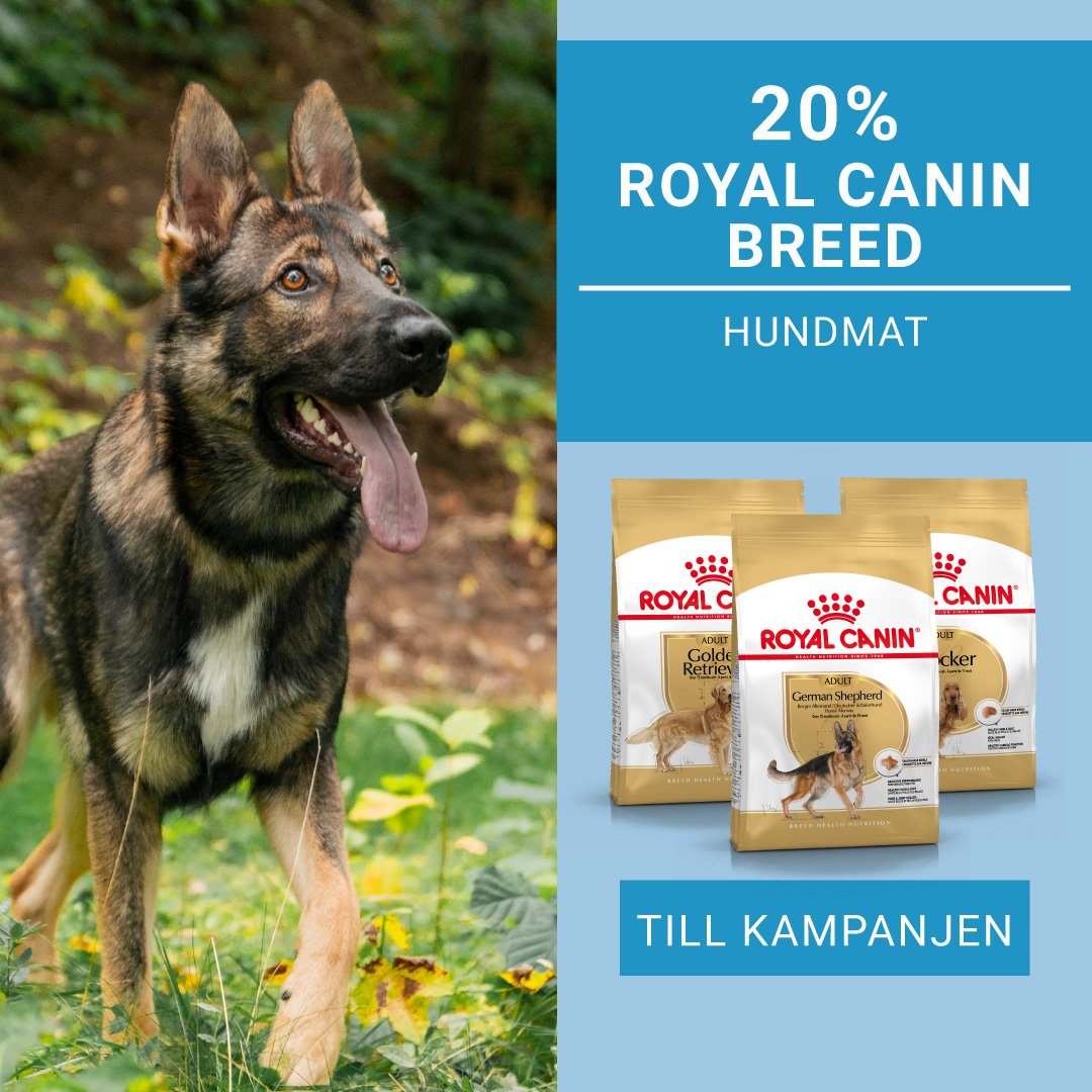 Kampanj Royal Canin Breed