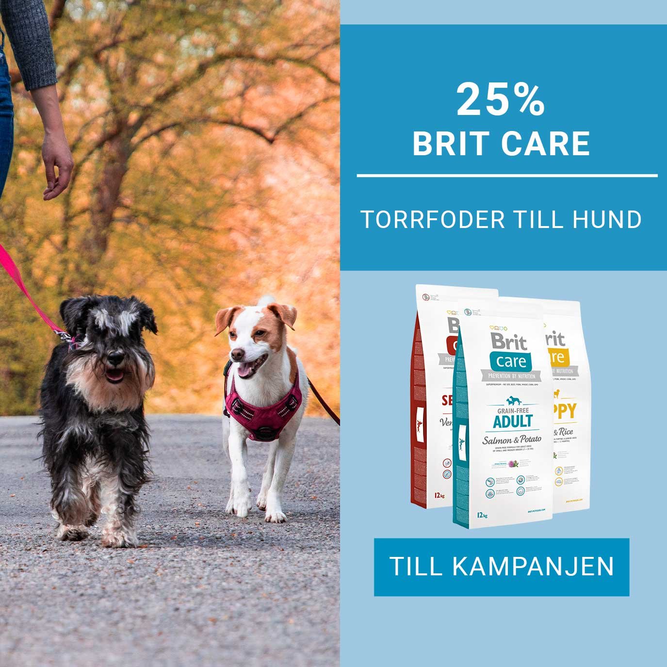 Kampanj 25% Brit Care torrfoder hund