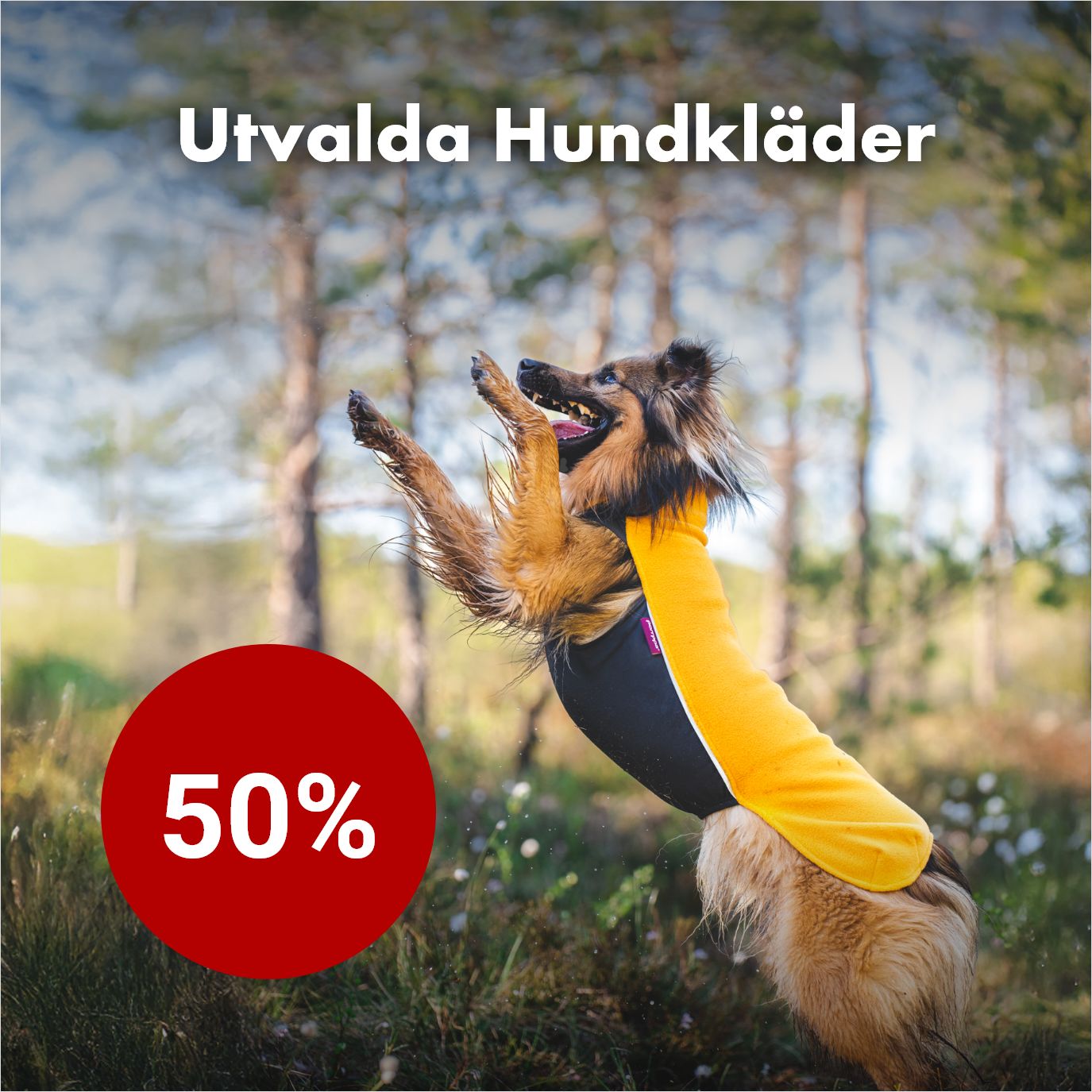 Kampanj Hundkläder