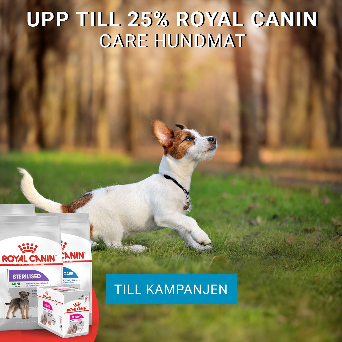 Kampanj Royal Canin