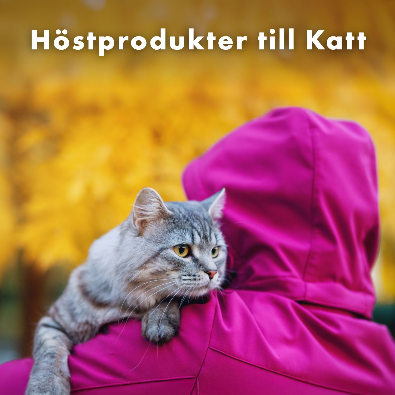 Höstprodukter
