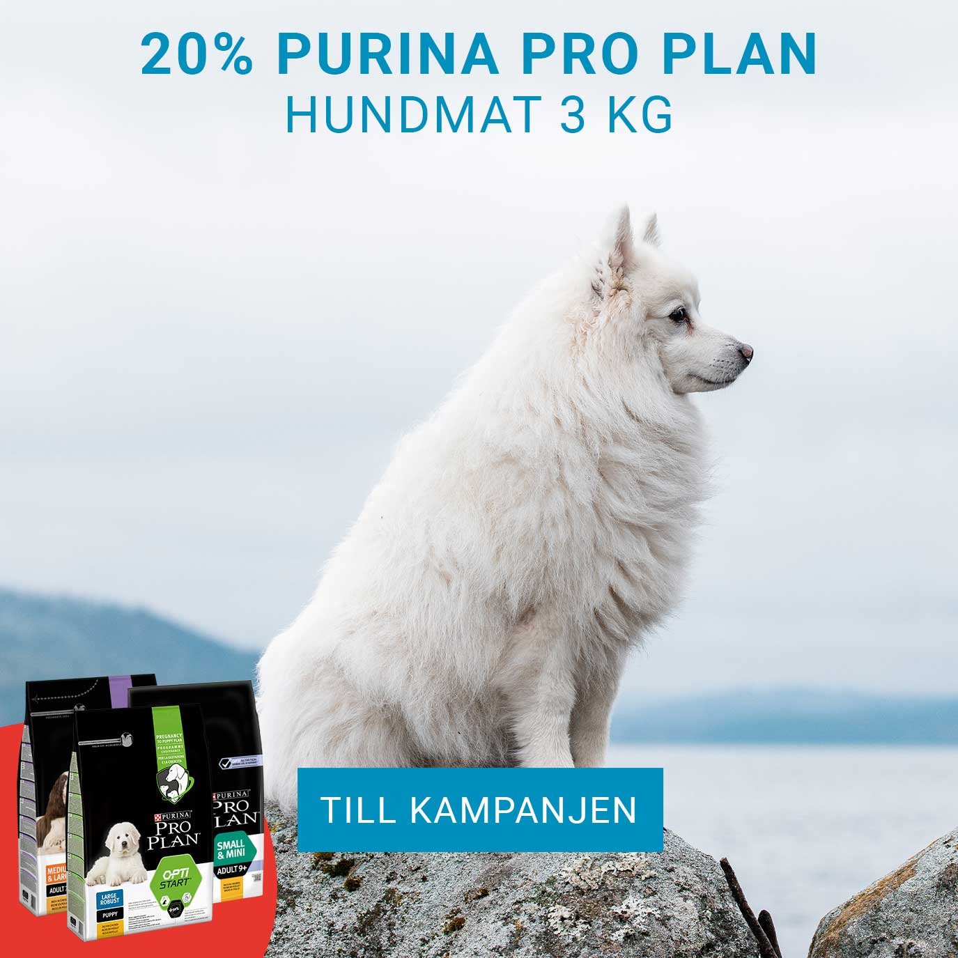 Kampanj 20% Purina pro plan hund