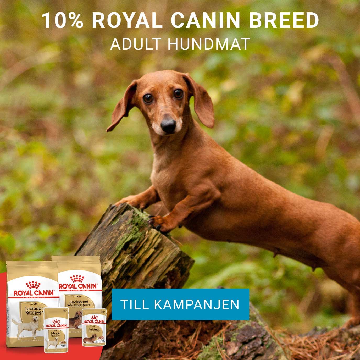 Kampanj Royal Canin Breed hund