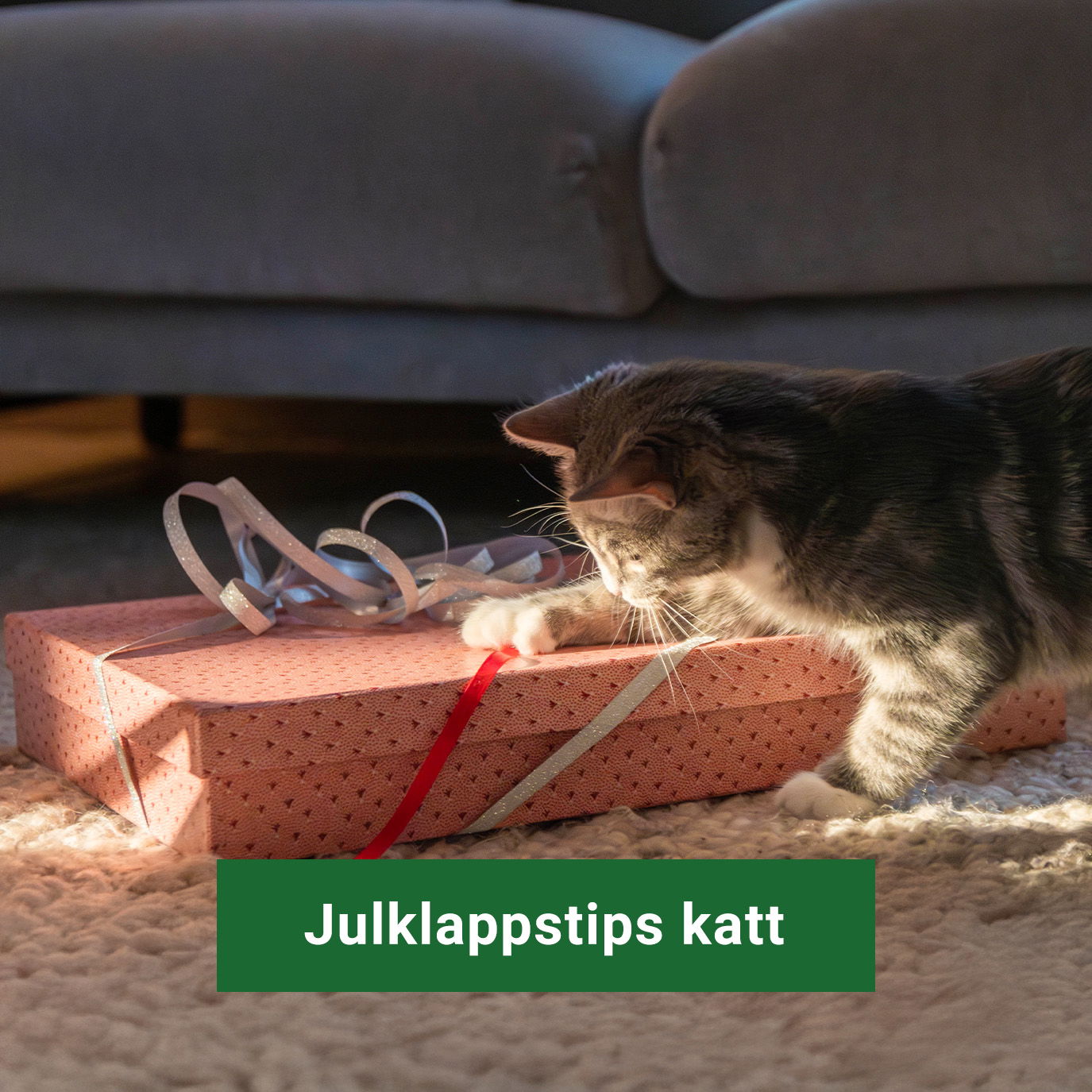 Julklappstips