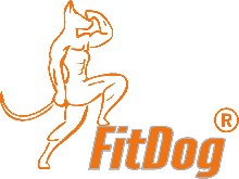 FitDog