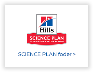 Hills Science Plan foder