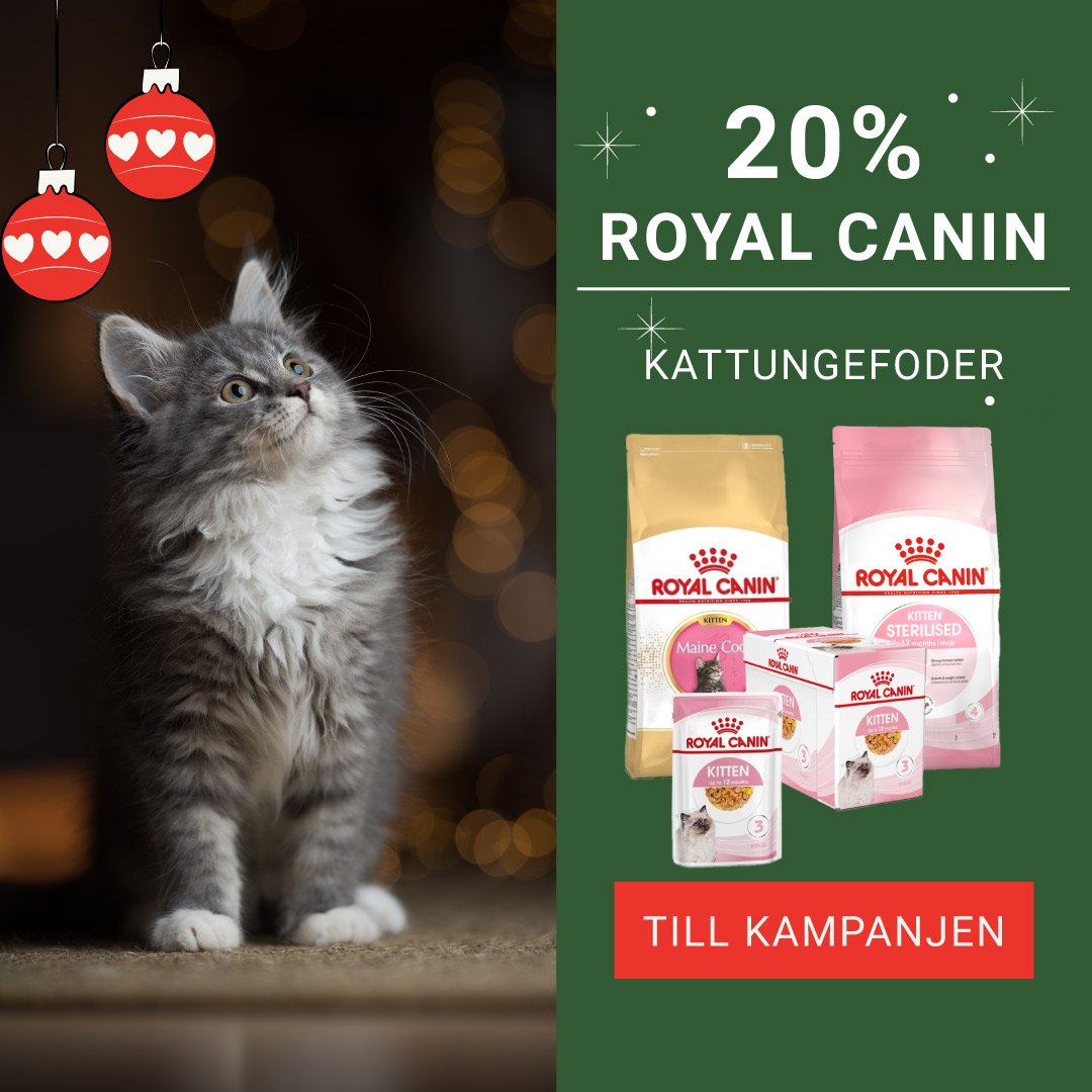 Royal Canin Kattunge